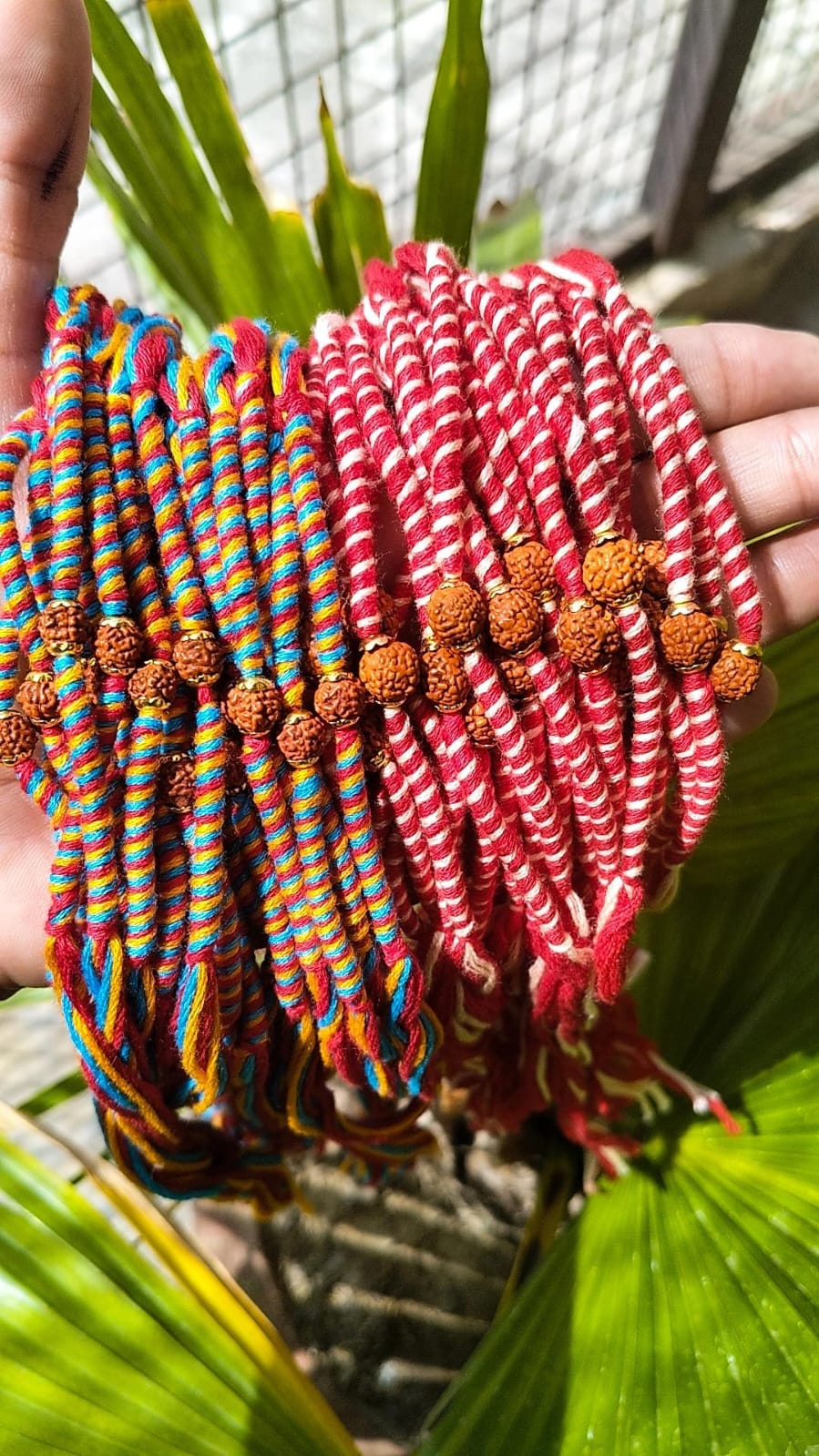 Rudraksha Moli
